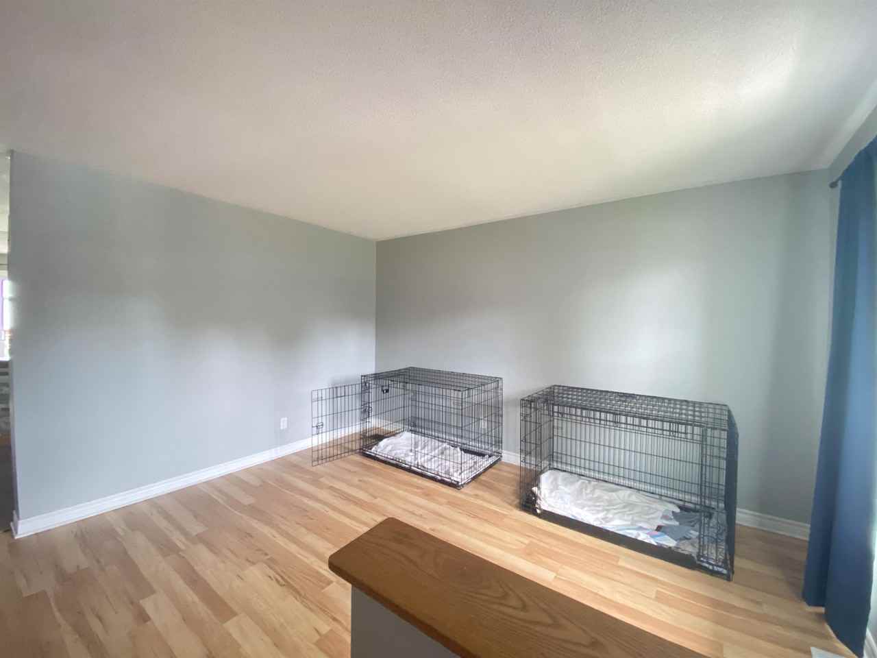 438 Queen St #1 - Photo 2 of 18