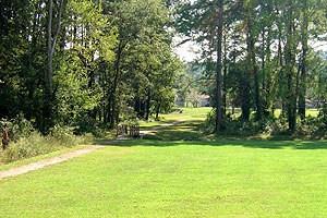 Robins Family Housing - Photo 2 of 24