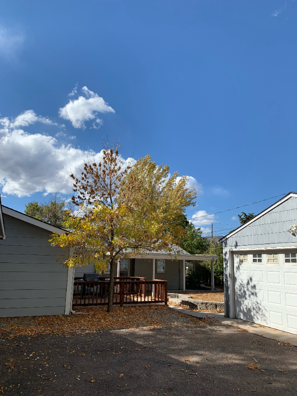 3911 Azalea Street - Photo 5 of 28