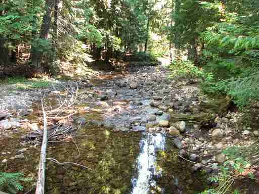 773 Woodland Dr - Photo 3 of 14