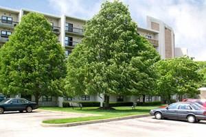 The Clipper - Photo 3 of 22