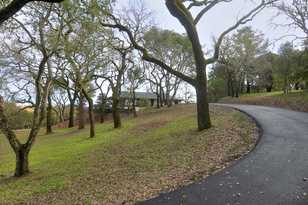 310 Family Farm Rd - Photo 2 of 24