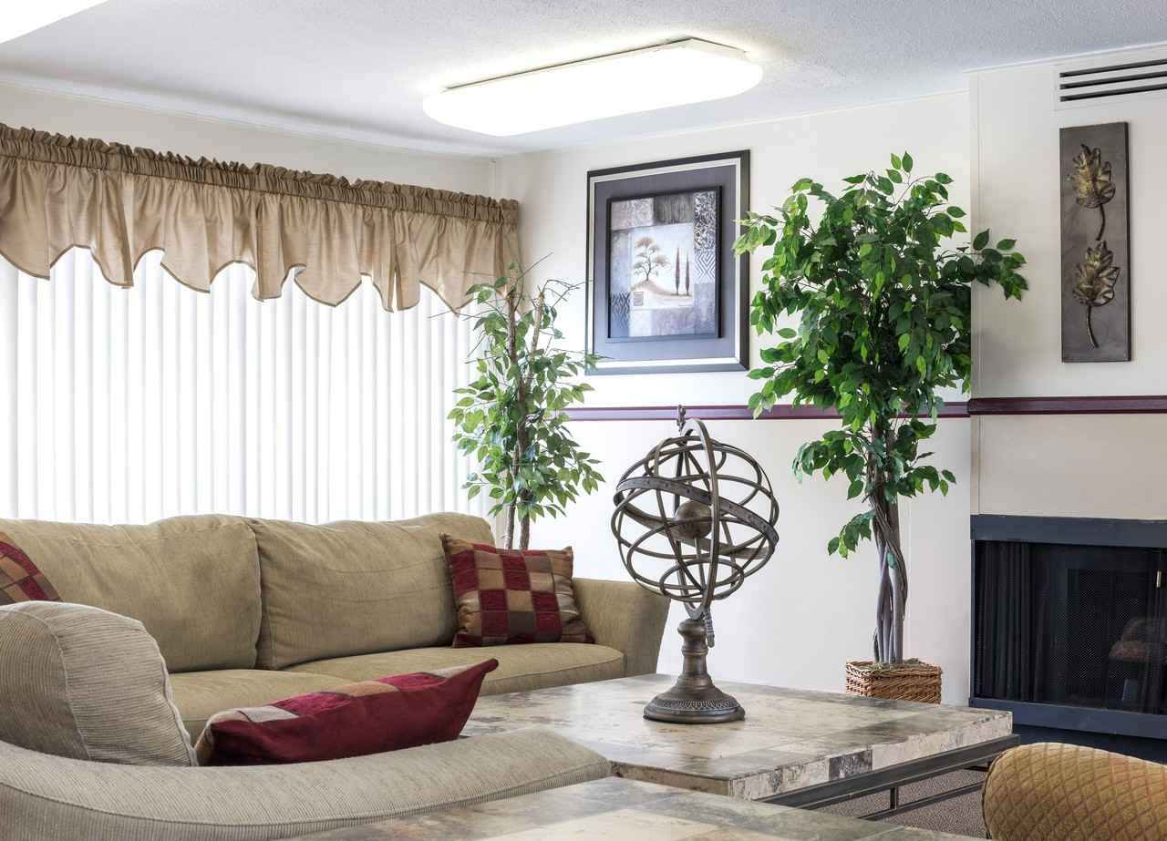 Venoy Pines Apartments - Photo 5 of 19