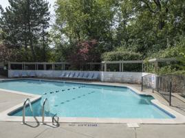 featured image of 20969 Woodland Glen Dr