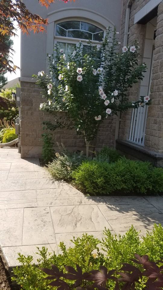 1181 Jezero Crescent Basement - Photo 2 of 18