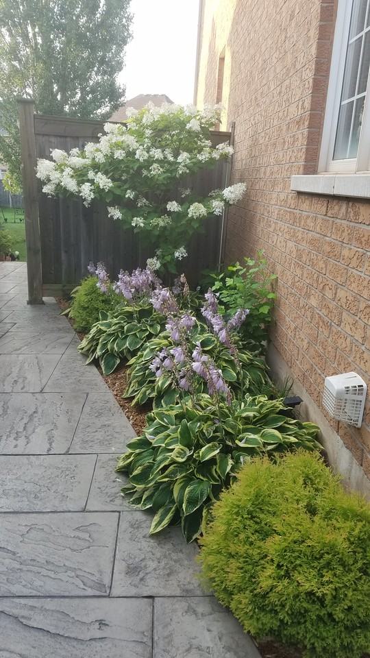 1181 Jezero Crescent Basement - Photo 3 of 18