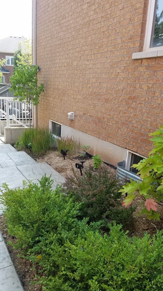 Kestell Blvd. & Jezero Crescent - Photo 4 of 18