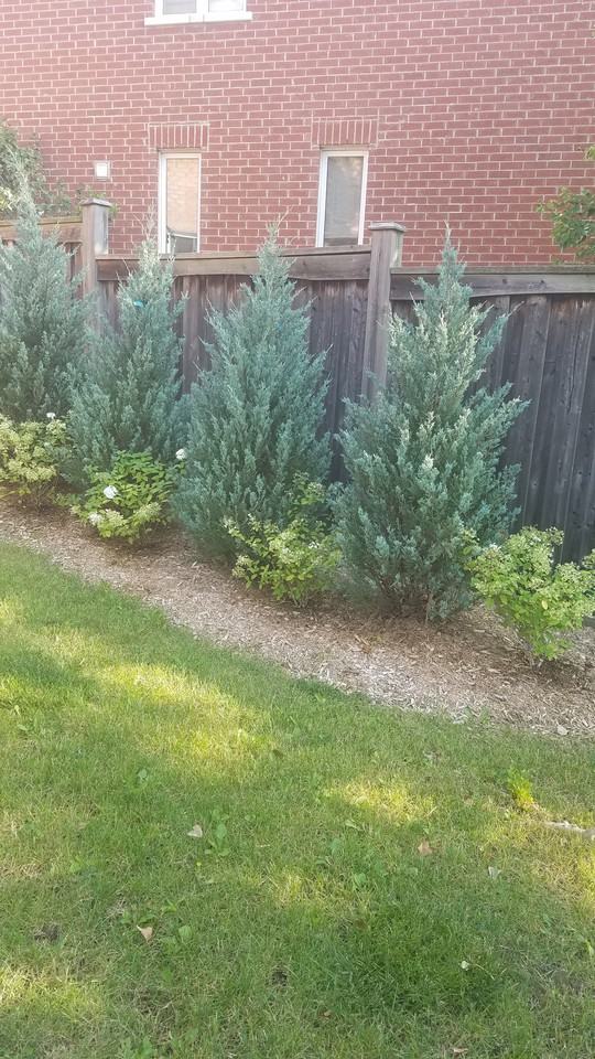 Kestell Blvd. & Jezero Crescent - Photo 5 of 18