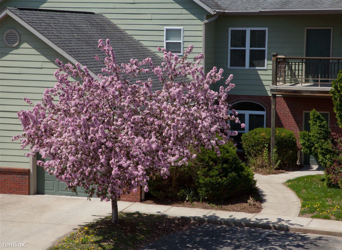 The Woods at Latimer - Photo 3 of 14