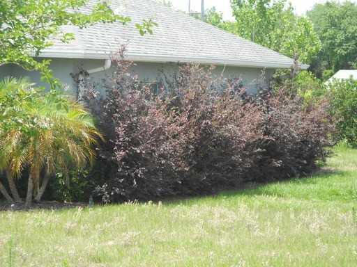 13441 Casa Verde Cir - Photo 2 of 6