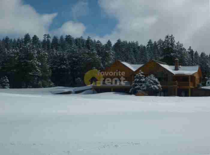 1833 S Perkinsville Rd - Photo 2 of 5