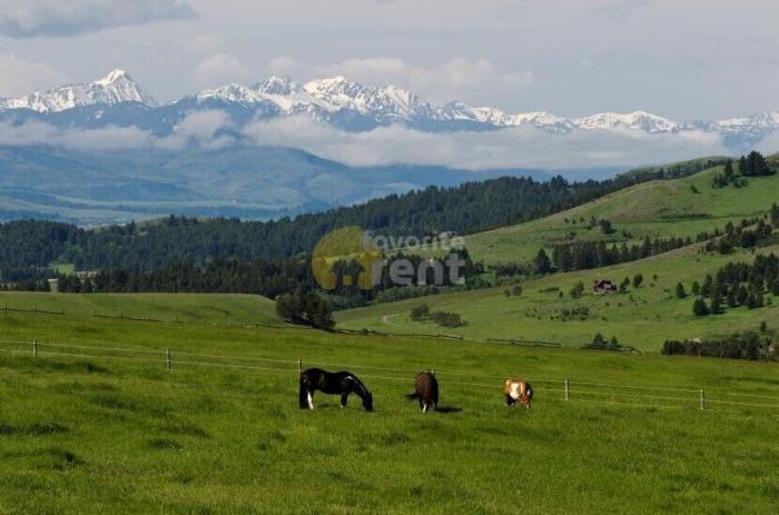 6400 Tepee Ridge Rd - Photo 2 of 5