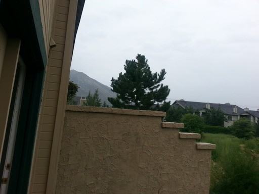 4550 Wild Elk Trail - Photo 3 of 10