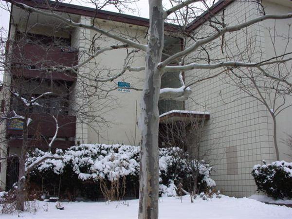 323 Packard Rd at Division St. - Photo 2 of 24