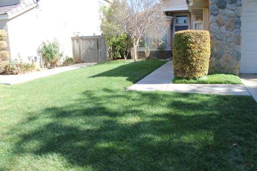 6734 Dove Ln - Photo 3 of 6