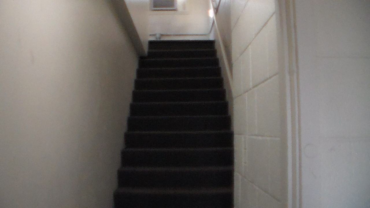 1011 Royal Gorge Blvd #C - Photo 4 of 12