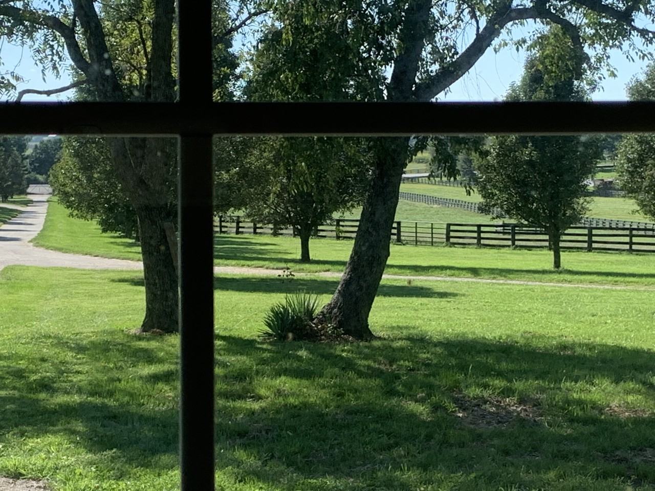 2900 Newtown Pike - Photo 5 of 28