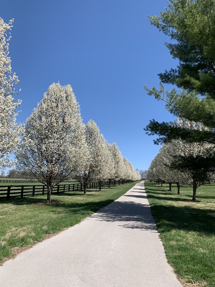 2900 Newtown Pike - Photo 2 of 28