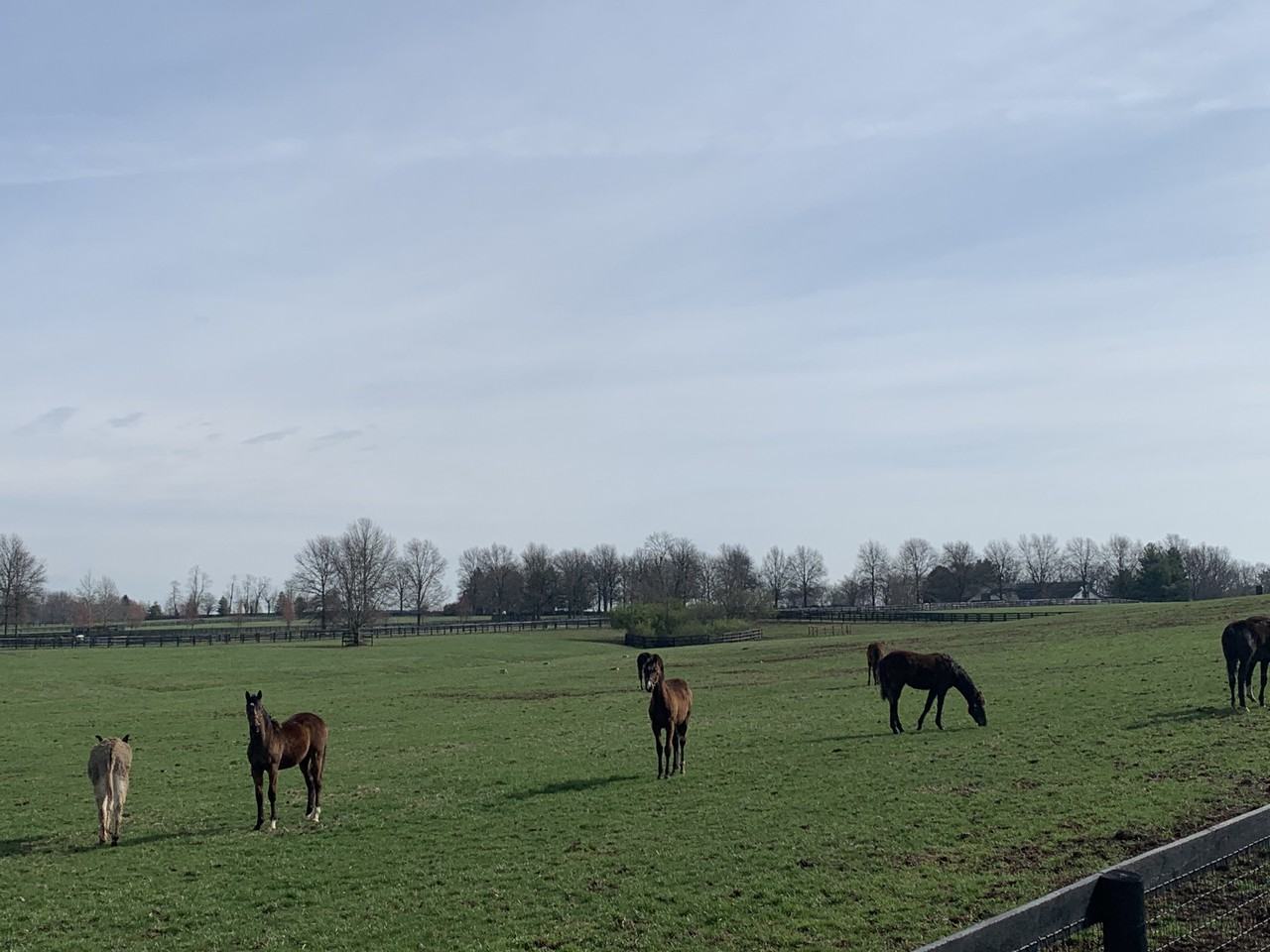 2900 Newtown Pike - Photo 4 of 28