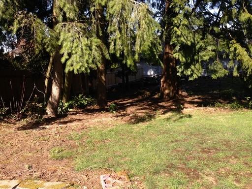 6118 Montana Ln - Photo 3 of 15
