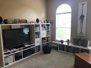 3615 Soft Breeze Cir - Photo 4 of 22