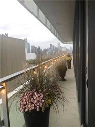 200 Bloor St W #1704