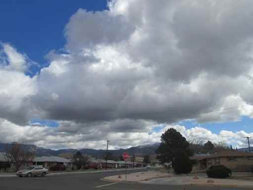 7906 Prospect Ave NE - Photo 3 of 16