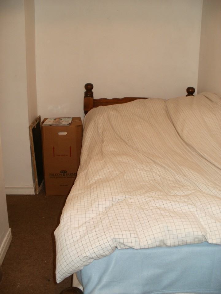 312 Indian Road Crescent Basement - Photo 3 of 5