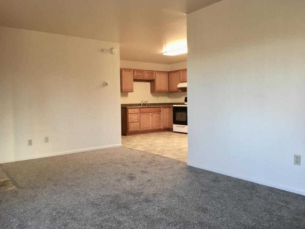 Forerunner St #1 - Photo 4 of 11