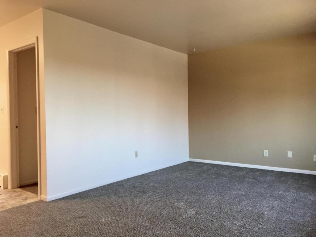 Forerunner St #1 - Photo 5 of 11