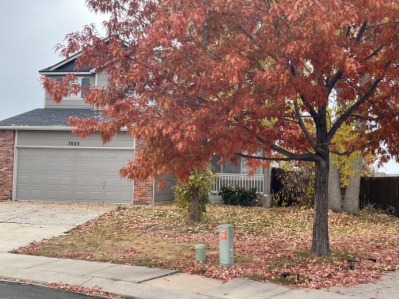 7023 Bonnie Brae Ln - Photo 2 of 28