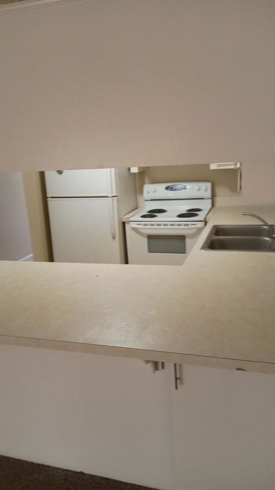 7013 N. Chas Dr. unit E Pleasant Valley, MO 64068 - Photo 3 of 5