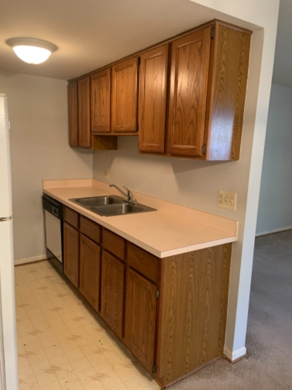 27661 Harrison Woods Ln - Photo 2 of 9