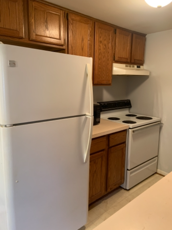 27661 Harrison Woods Ln - Photo 3 of 9