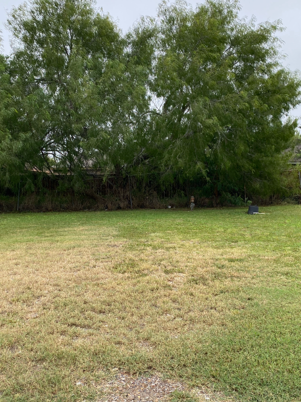 1615 Us Highway 77 Bus - Photo 3 of 3