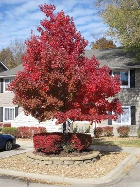 1107 George Ct #4 - Photo 3 of 16