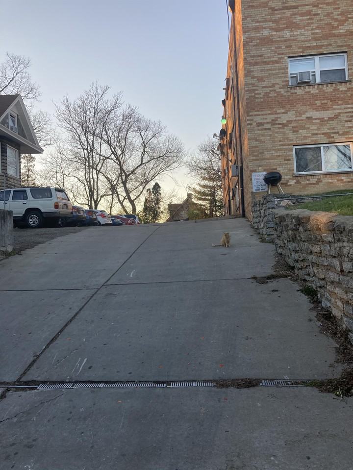 947 Grand Avenue - 10 #10 - Photo 3 of 8