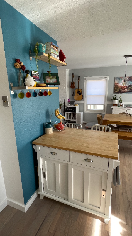 1025 Sparta Dr - Photo 4 of 20