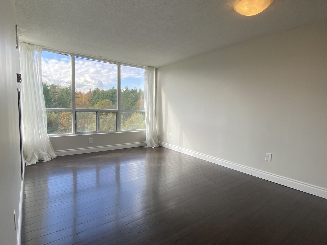 Mapledale Condominimum - Photo 2 of 10