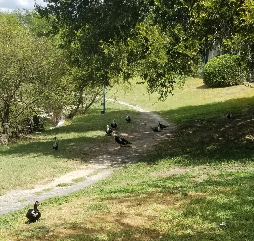 Regatta Apartments - Photo 5 of 23