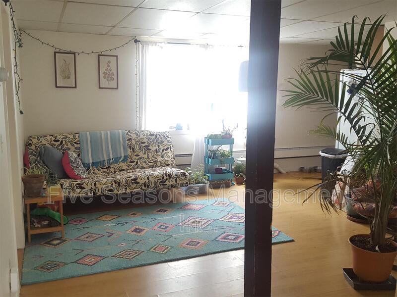 341 Pearl St - Photo 4 of 10