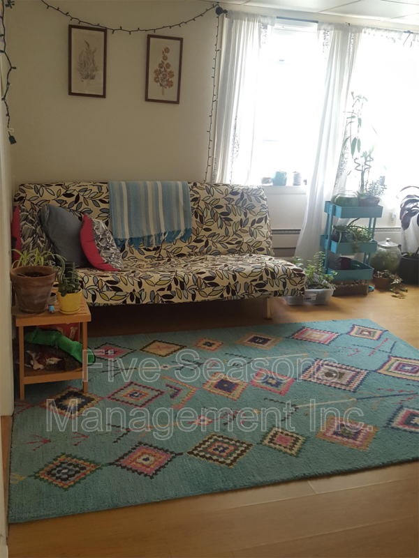 341 Pearl St - Photo 5 of 10