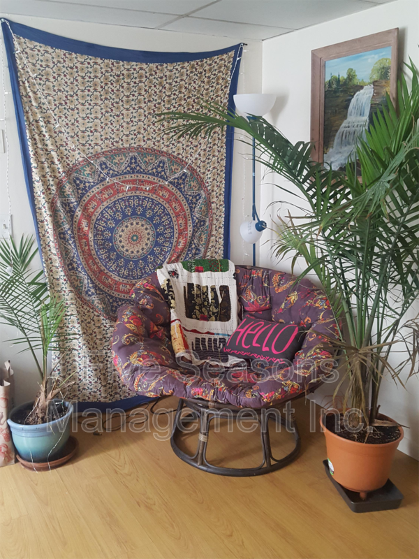 341 Pearl St - Photo 7 of 10