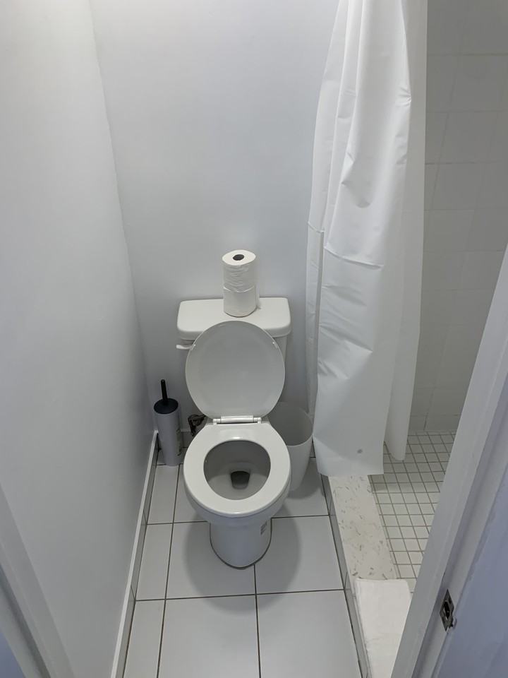 83 Spadina Road - Photo 6 of 8