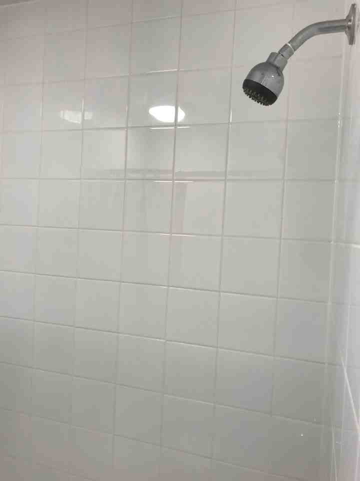 Dupont St & Spadina Rd #Main - Photo 6 of 6