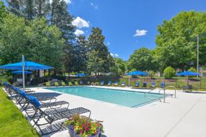 featured image of 8924 Langwood Dr