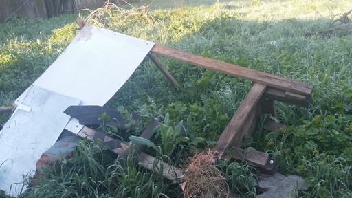 815 Carroll Ave - Photo 3 of 20