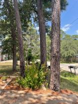 110 N Kanaio Dr - Photo 1 of 1
