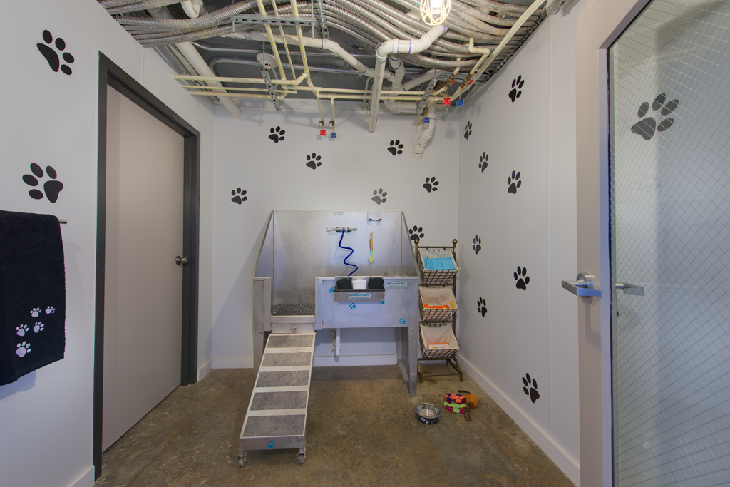 The Metropolitan Apartments - Photo 5 of 25