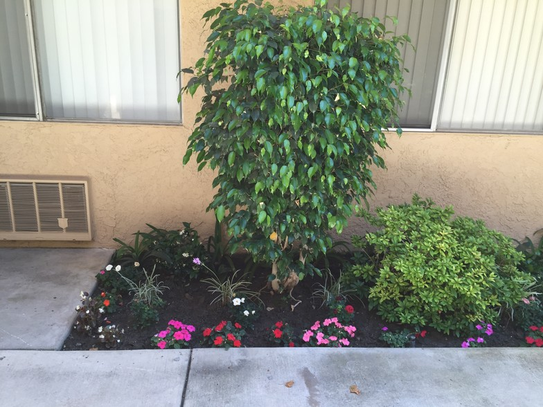 8343 Amigo Avenue - Photo 6 of 10